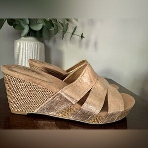 Style & Co Women's Juliaa Slip-on Platform Wedge Sandals